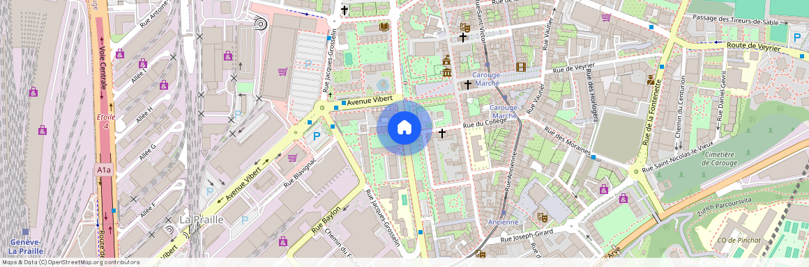 1227 Carouge GE