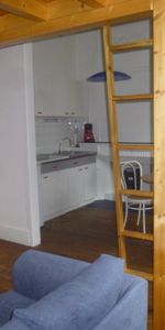 Location Appartement 1 pièce 28m² LE PUY EN VELAY 43000 - Photo 4