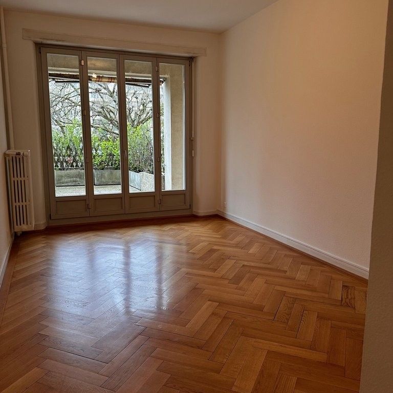 Cadre calme au bord de l'Arve - Photo 1