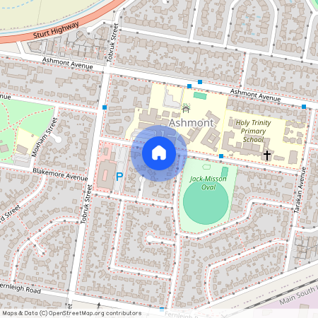 22 Bardia Street, NSW 2650, Ashmont