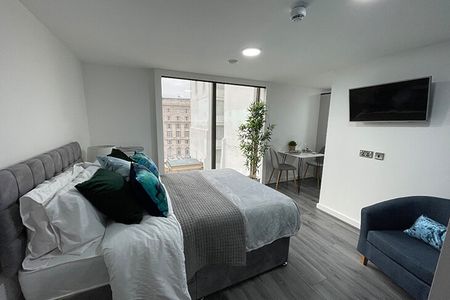 Studio Flat, Drury Lane, L2 - Photo 3