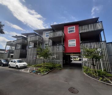 Albany - Modern apartment in great location - Photo 6