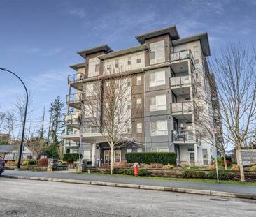 Maple Ridge 1 bed Apt for rent - Photo 2