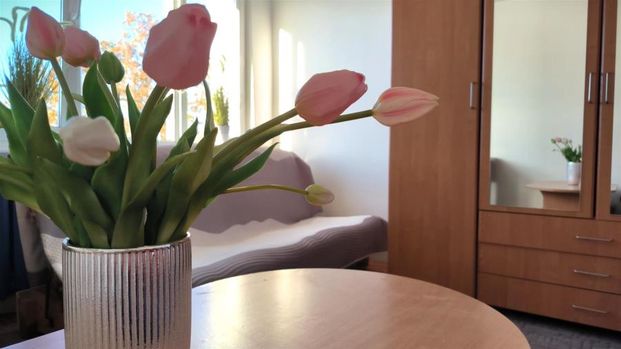 Orla, Koszalin - Zdjęcie 1