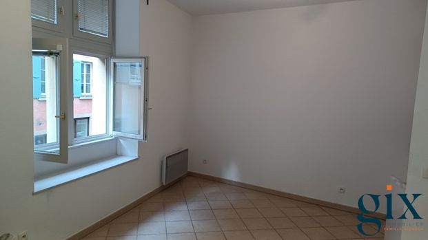 Location Appartement 1 pièce 26m² GRENOBLE 38000 - Photo 1
