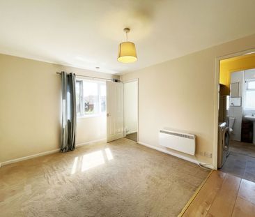 1 Bedroom - Photo 6