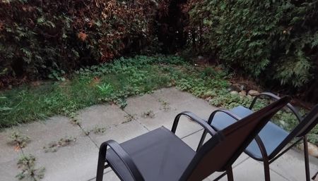 1 Zimmer, 30 m² - Photo 4