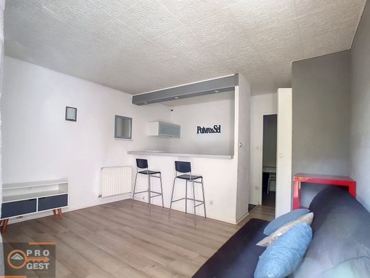 Location-Studio calme avec parking et jardin-Hôpitaux Facultés - Photo 1