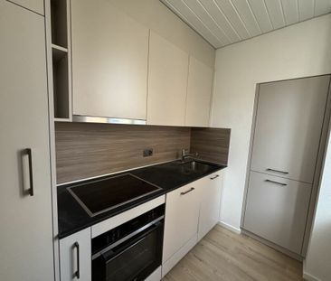 Small renovated apartment in the city center - Photo 1