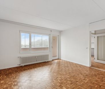 Sanierte 4.5 Zimmerwohnung mit Weitsicht - Photo 5