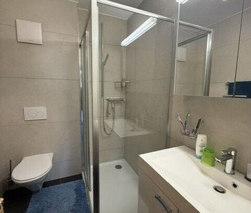 Appartement 4.5 pièces avec terrasse et pelouse privative - Photo 4