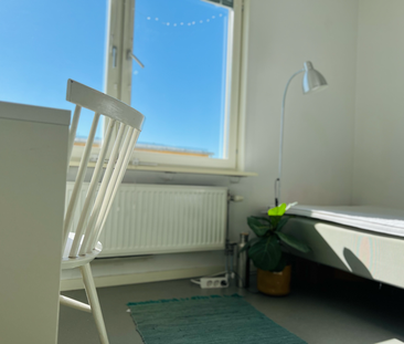 Roslagstullsbacken, Stockholm - Photo 4