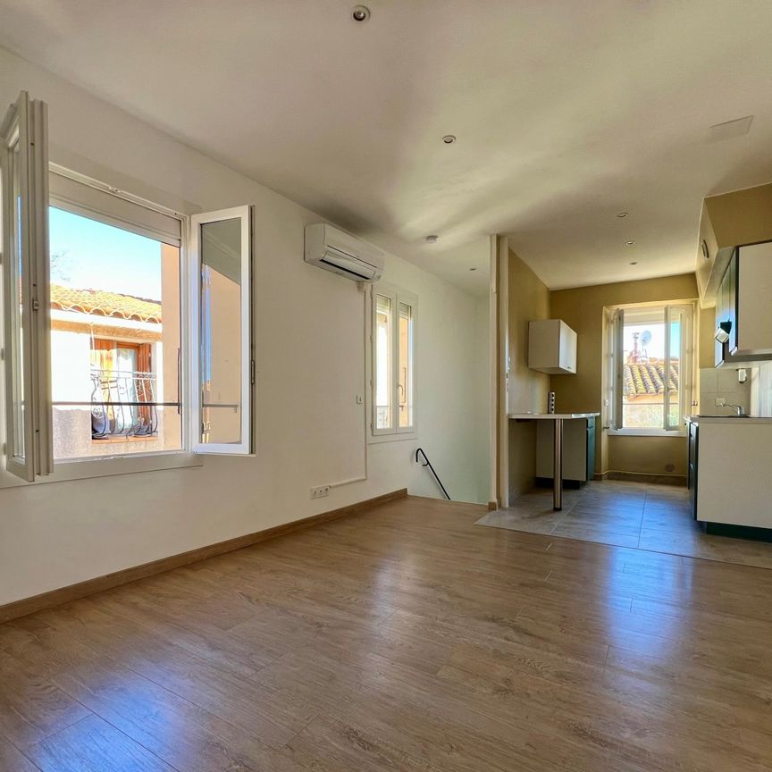 Location Appartement 1 pièce 35m² ALENYA 66200 - Photo 1