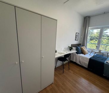 Paseo de la Castellana, Madrid, Community of Madrid - Photo 5