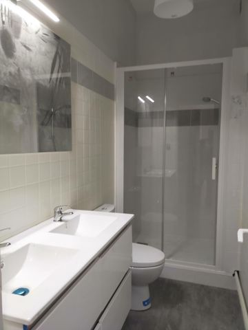 Location Appartement 1 pièce 30m² VICHY 03200 - Photo 5