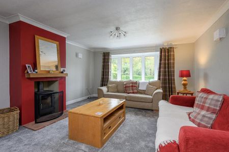 2 bedroom detached bungalow to rent - Photo 3