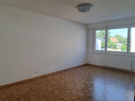 JOLI 3 PIECES RENOVE DANS IMMEUBLE AVEC ASCENSEUR - Photo 3