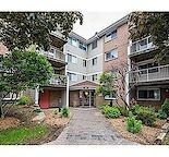 270 Brittany Drive, Vanier North, Ottawa, ON - Photo 5