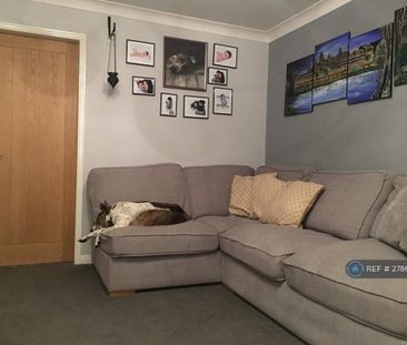 3 bedroom semi-detached house to rent - Photo 3