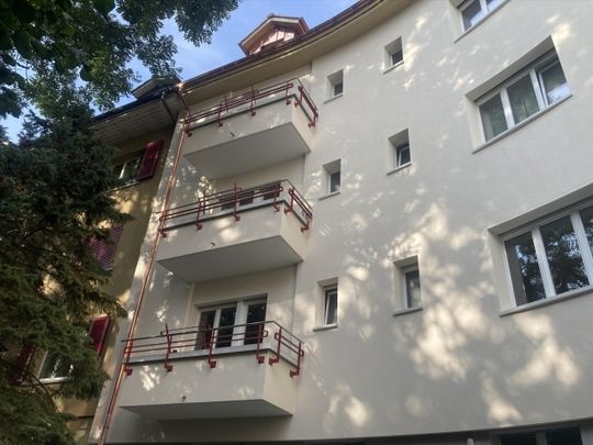 Appartement mansardé dans un immeuble ancien dans un emplacement de choix - Foto 1