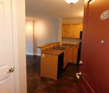 FOR RENT – 70 Ochterloney Street, Suite 308, Dartmouth, Nova Scotia - Photo 6