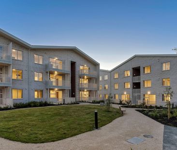 2/6 Glidepath Road Hobsonville Point - Photo 3