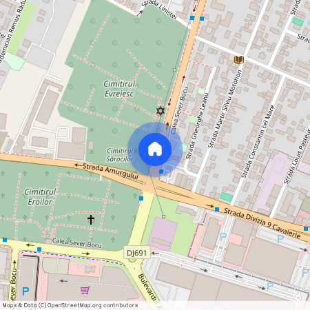 Timis, Timisoara