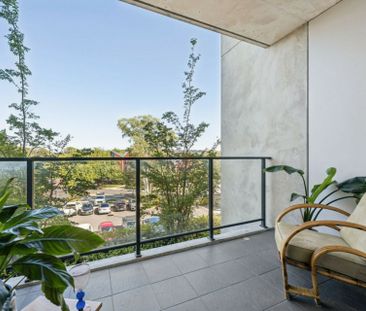 1 Bedroom Apartment in One of Canberra's Best Kept Secrets - Photo 1