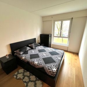 3 room apartment in Chêne-Bourg - Foto 2