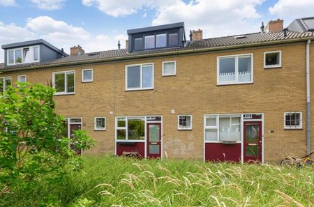 Te huur: Huis Rudolf Agricolastraat in Amsterdam - Foto 3