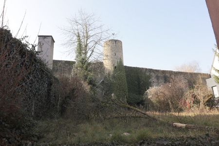 Charmante 1 Zimmerwohnung in Heidingsfeld mit Gartenmitbenutzung - Foto 4