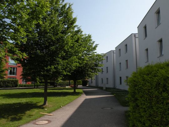 Charmante 2-Zimmer-Wohnung in Wels: Geräumig, zentral und fixem Parkplatz - Photo 1