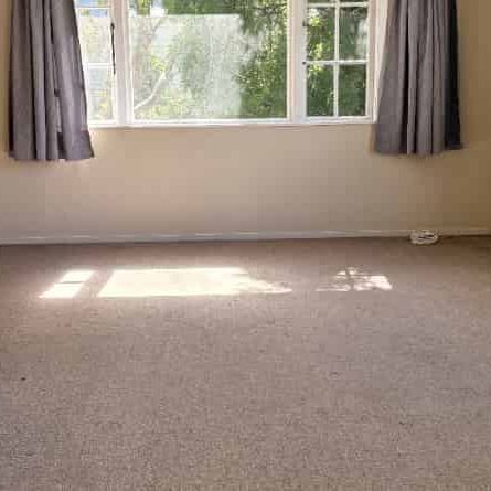 Sunny four-bed house in Wadestown - Photo 1