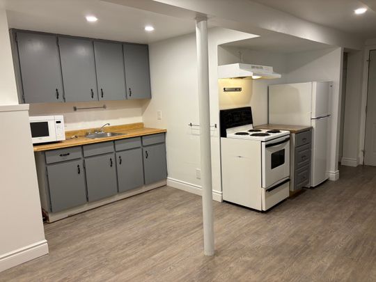 For Lease - 128 Angeline Street Unit# Lower, Kawartha Lakes, Ontario - Photo 1