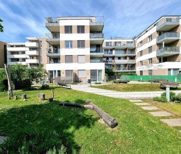 Gartenwohnung in Top-Lage – Nähe Hauptbahnhof, Klinik & FH, mit Ter... - Photo 2