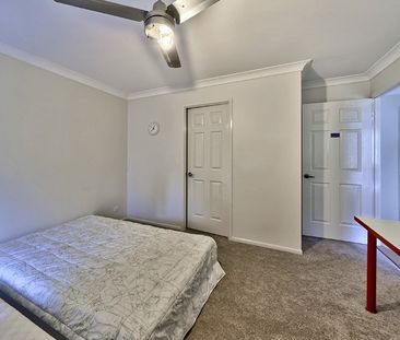 313 Verney Road East, Graceville QLD 4075 - House For Rent | Domain - Photo 4