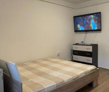 Apartament cu 1 camera in Alexandru cel Bun - Photo 2