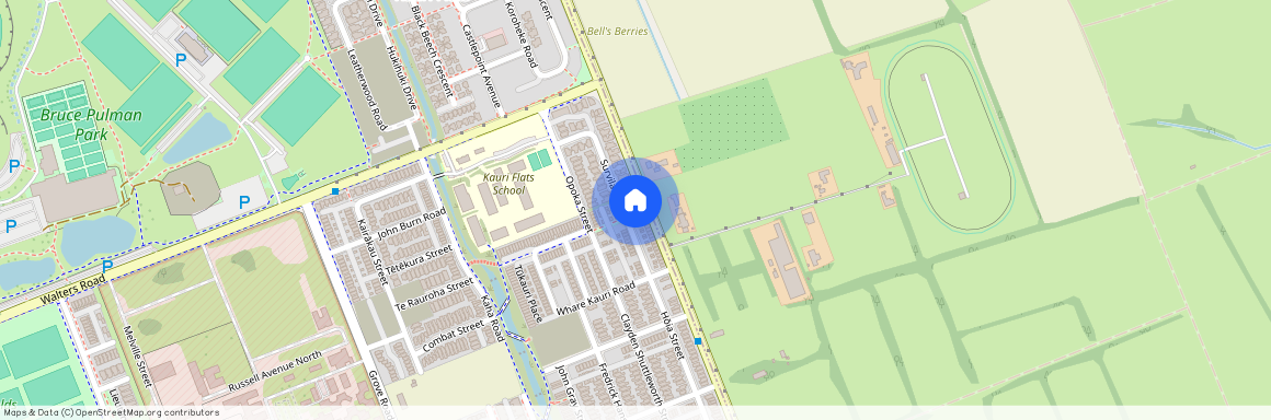 38 Survila Street, Takanini, Papakura