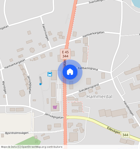 Hammerdal, Jämtland, Strömsund, Storgatan 41