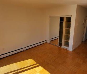 Large Bright Pet Friendly Studio available Dec. 15th - Photo 3