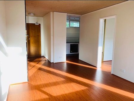 Immaculate One-Bedroom Apartment in the Heart of Ashfield - Photo 3