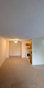 Great Location! Spacious One bedroom & Den - Photo 3