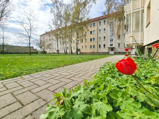 Willkommen in den neuen 4 Wohlfühlwänden - Photo 1