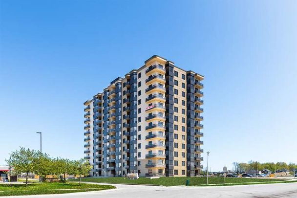 South Carriage Place - Photo 1