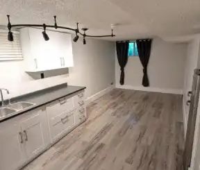 Cozy 1 Bedroom Den/1bth basement suite in Killarney - Utilities Inc... - Photo 1