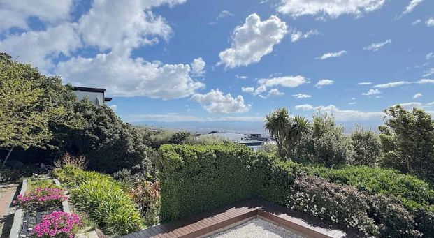 A unique and expansive home - Photo 1