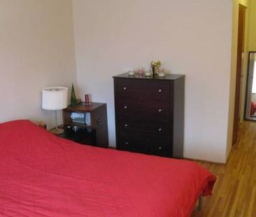 $1950 / 1br - 700ft² - Short-term furnished unit from March to April - Photo 4