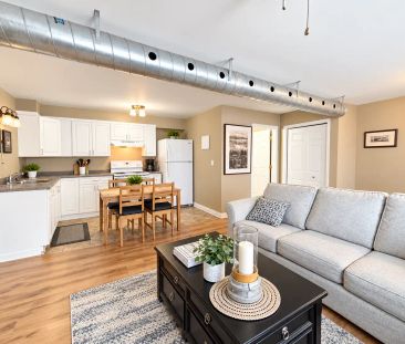 51 Eastchester Avenue, Unit 3 (Main Floor), St. Catharines — Unit 3... - Photo 6