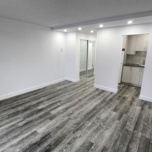 1 CH - 1 SDB - Montréal - $1,250 /mo - Photo 3