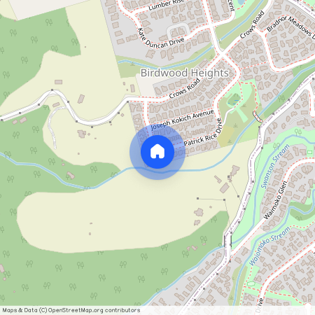 36 Patrick Rice Drive, Swanson, Waitakere City